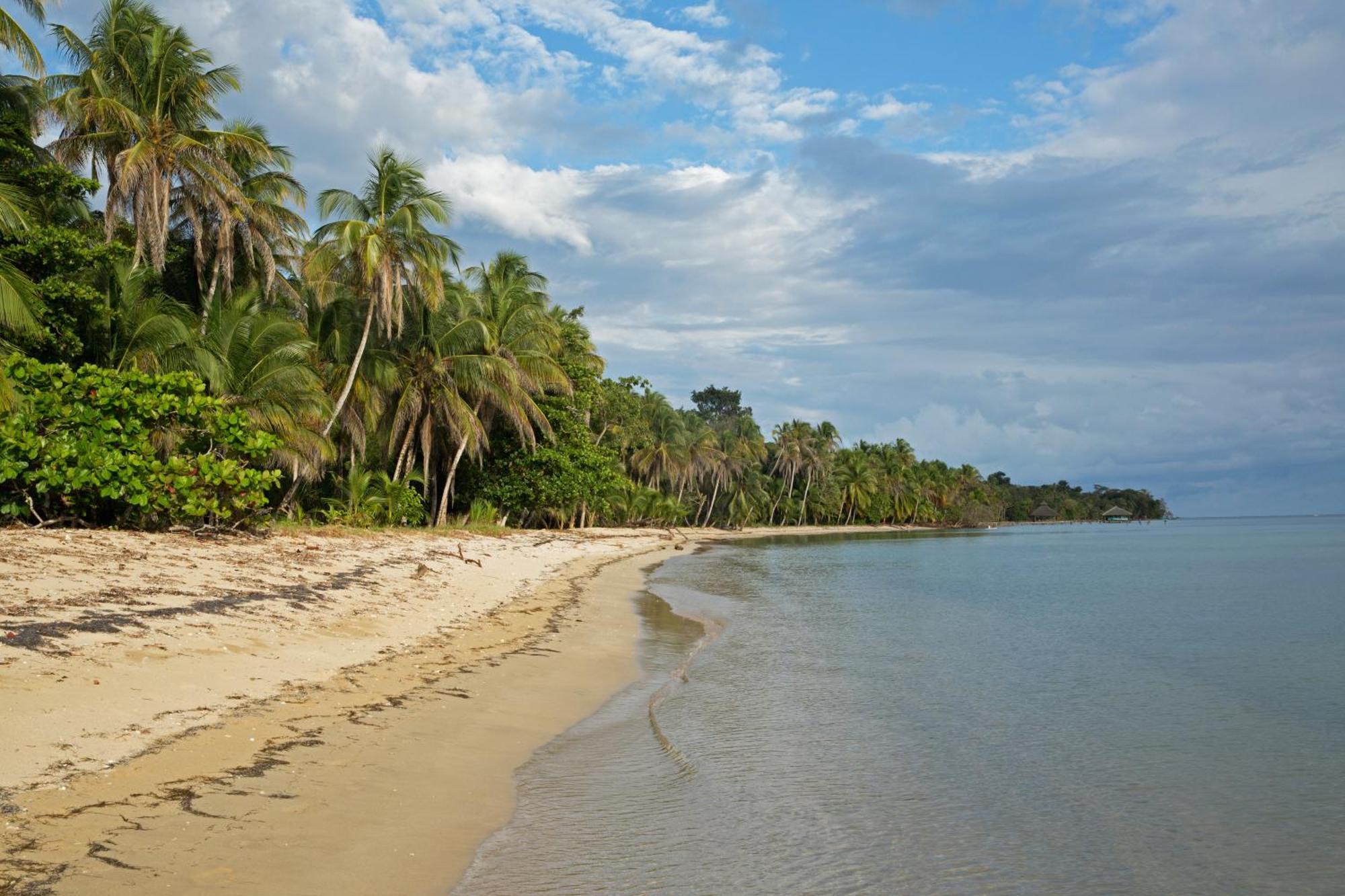 Residencia Natural Bocas del Toro Buitenkant foto