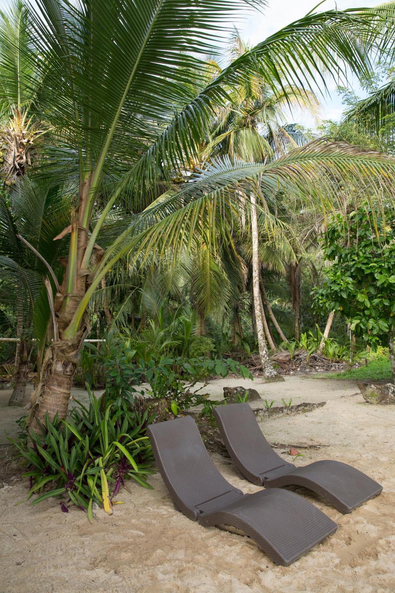 Residencia Natural Bocas del Toro Buitenkant foto